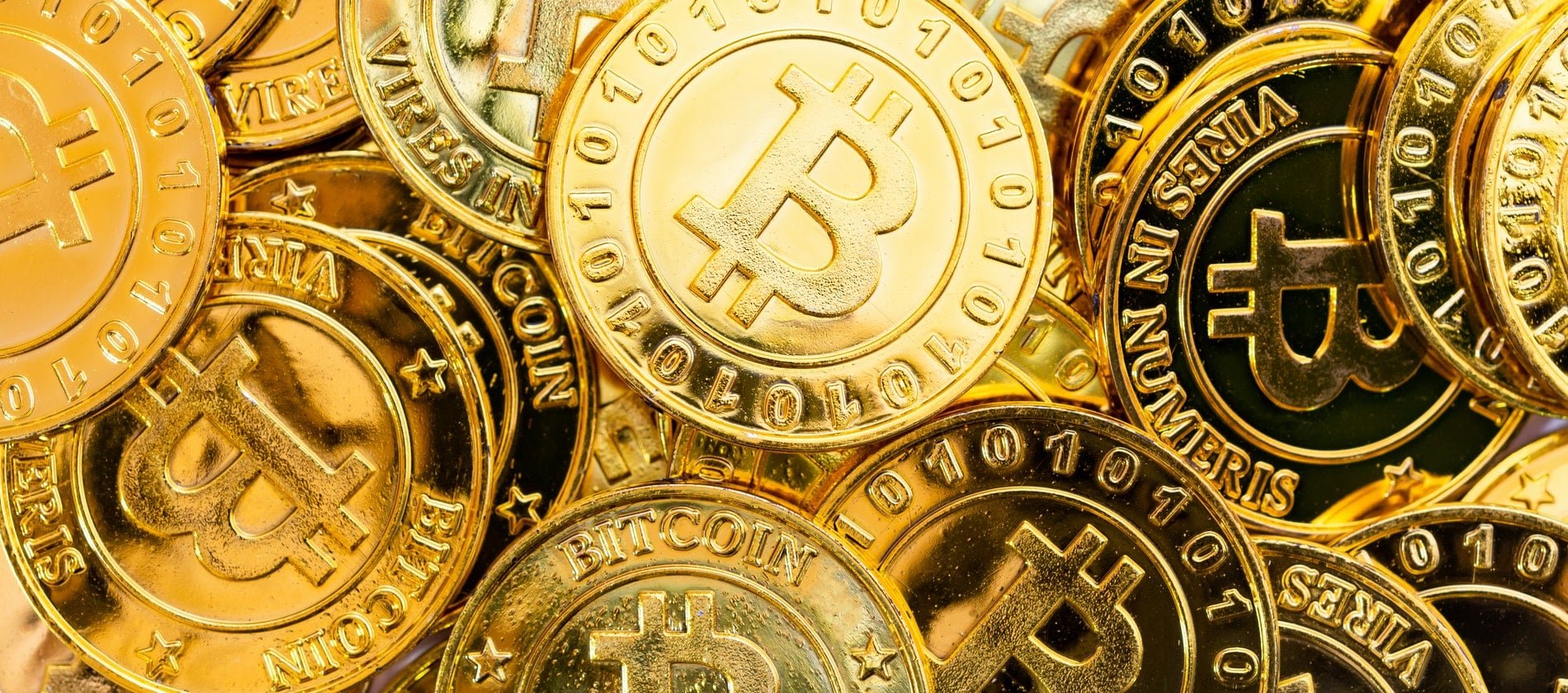 The Top Bitcoin & Crypto Wallets in Canada for November 2023 Stocktrades