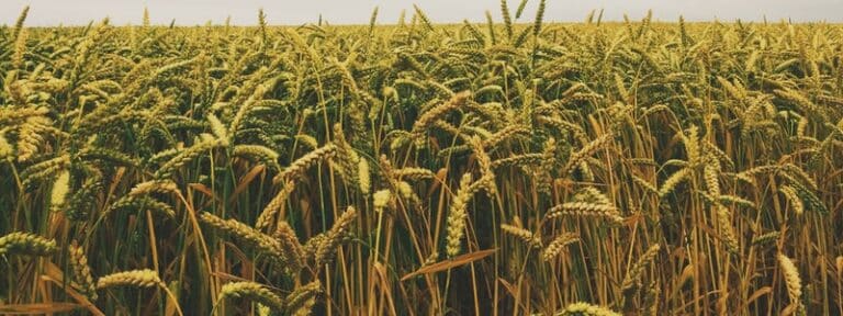 10 Of The Top Canadian Commodity ETFs In September 2023 Stocktrades